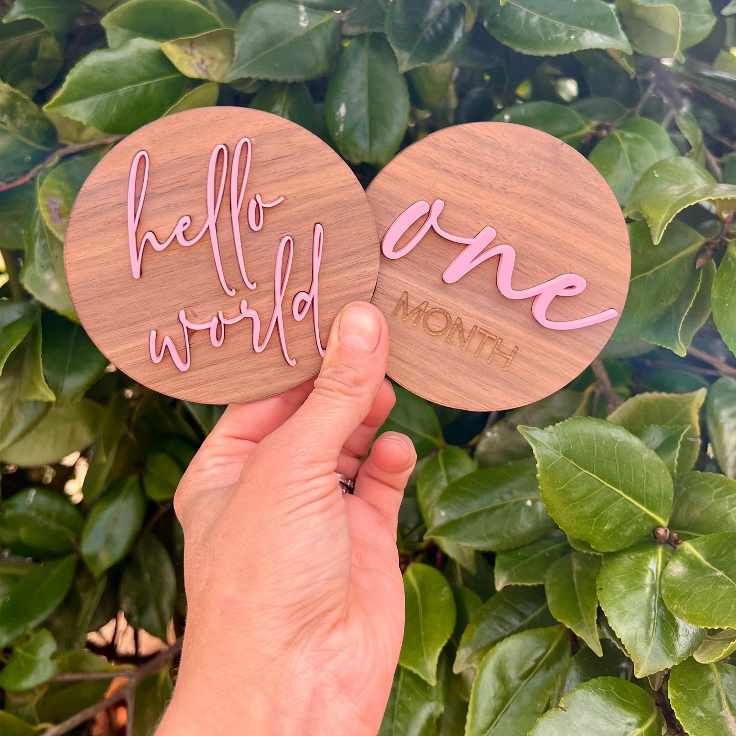 MILESTONE DISCS - MARSHMALLOW