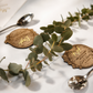 NAME CARD | FAVOUR KEEPSAKE - THE LUXE COLLECTION - EUCALYPTUS