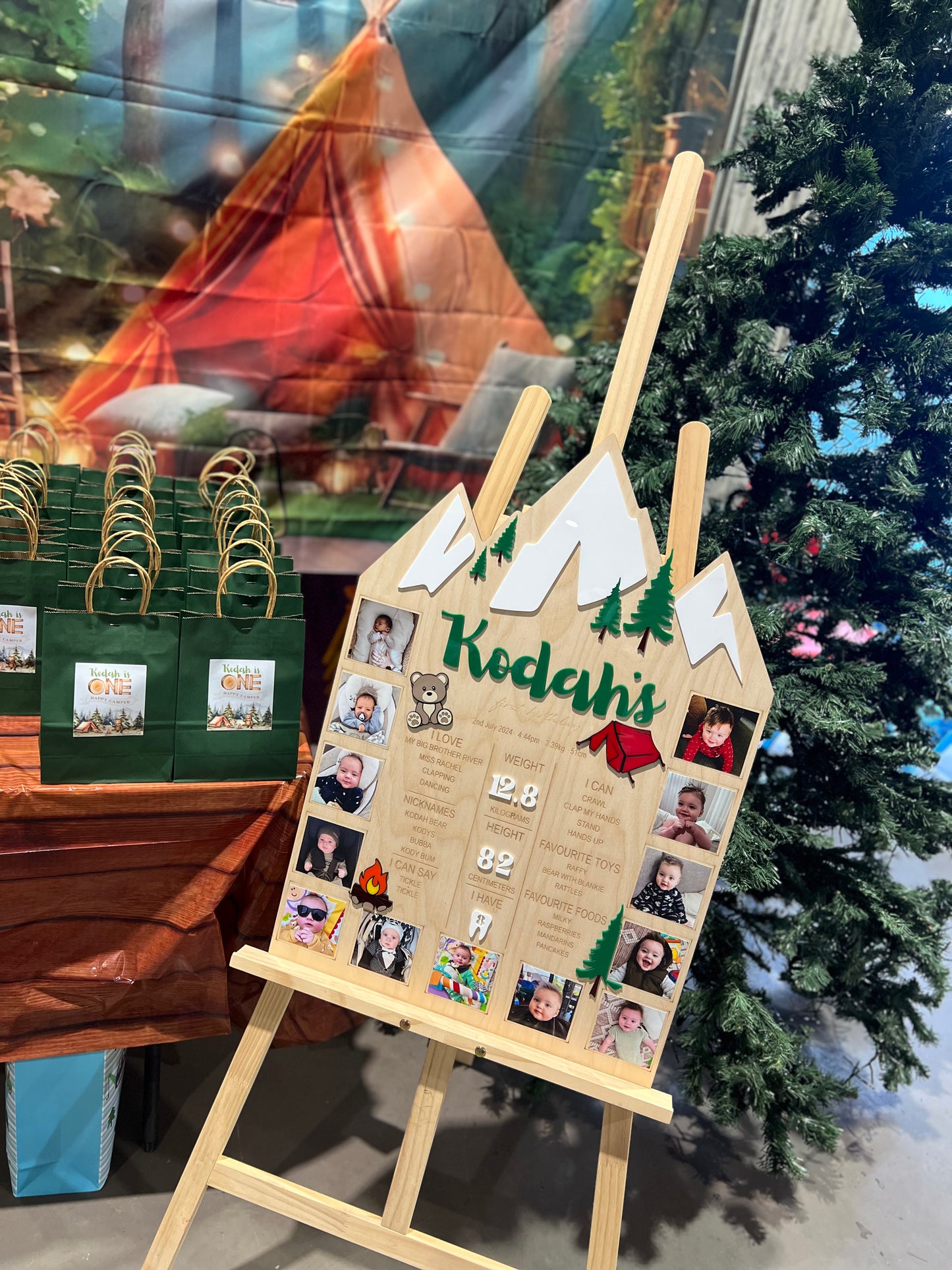 ONE HAPPY CAMPER - FIRST BIRTHDAY MEMORY BOARD