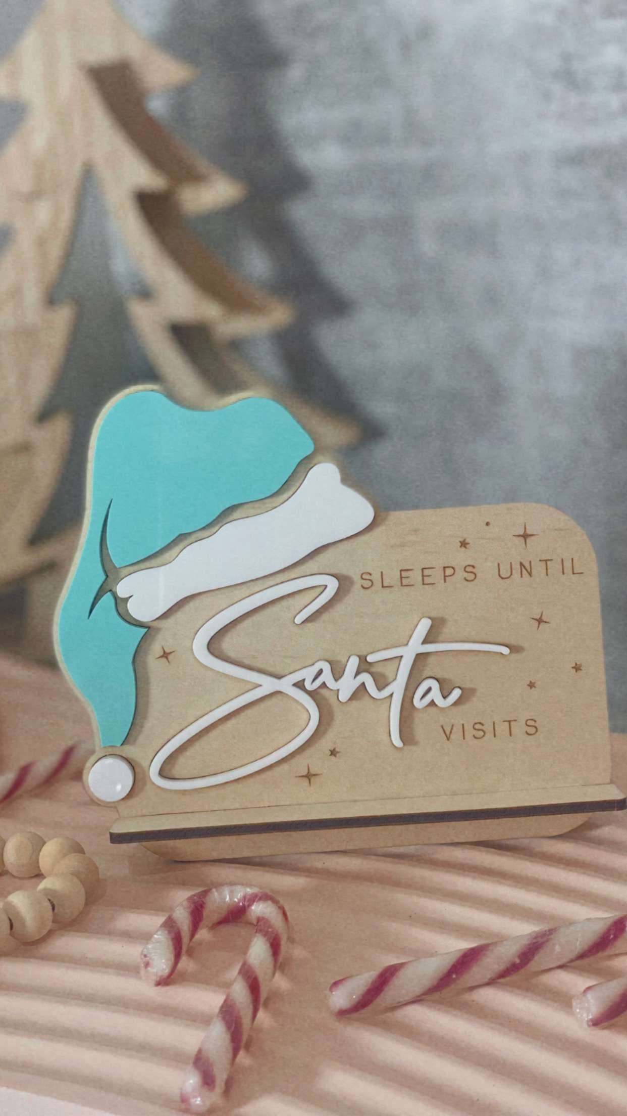 SLEEPS UNTIL SANTA VISTS - SPEARMINT HAT