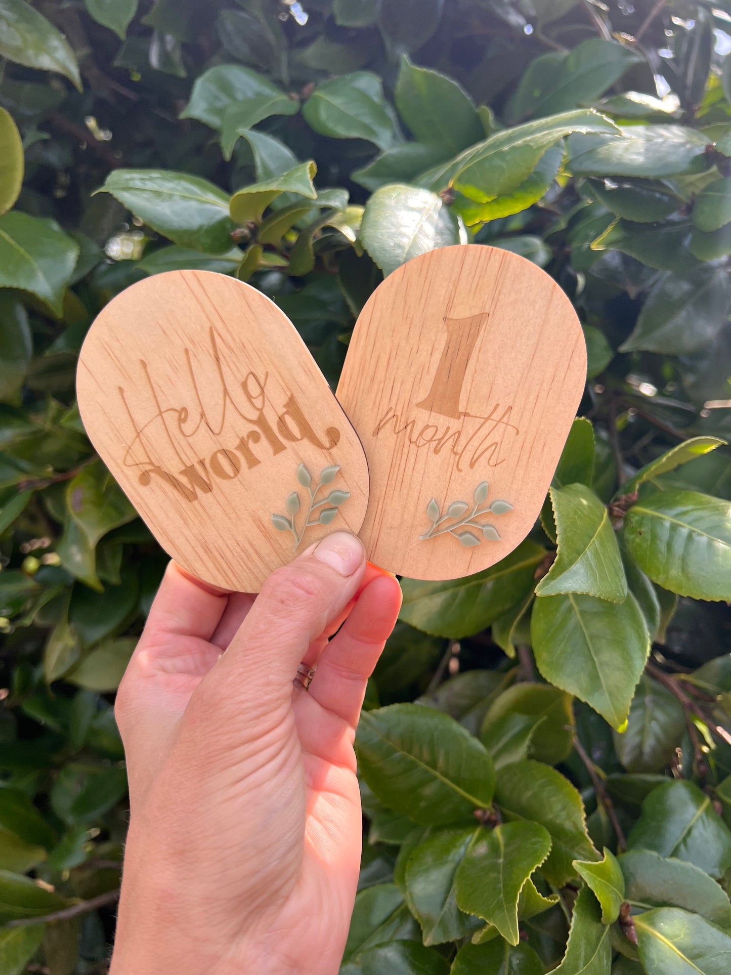 MILESTONE DISCS - NATIVE