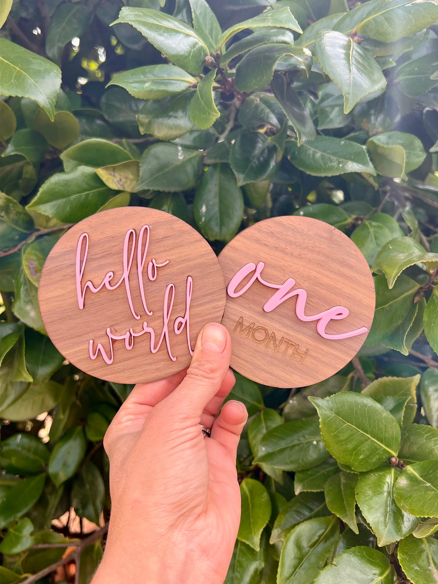 MILESTONE DISCS - MARSHMALLOW