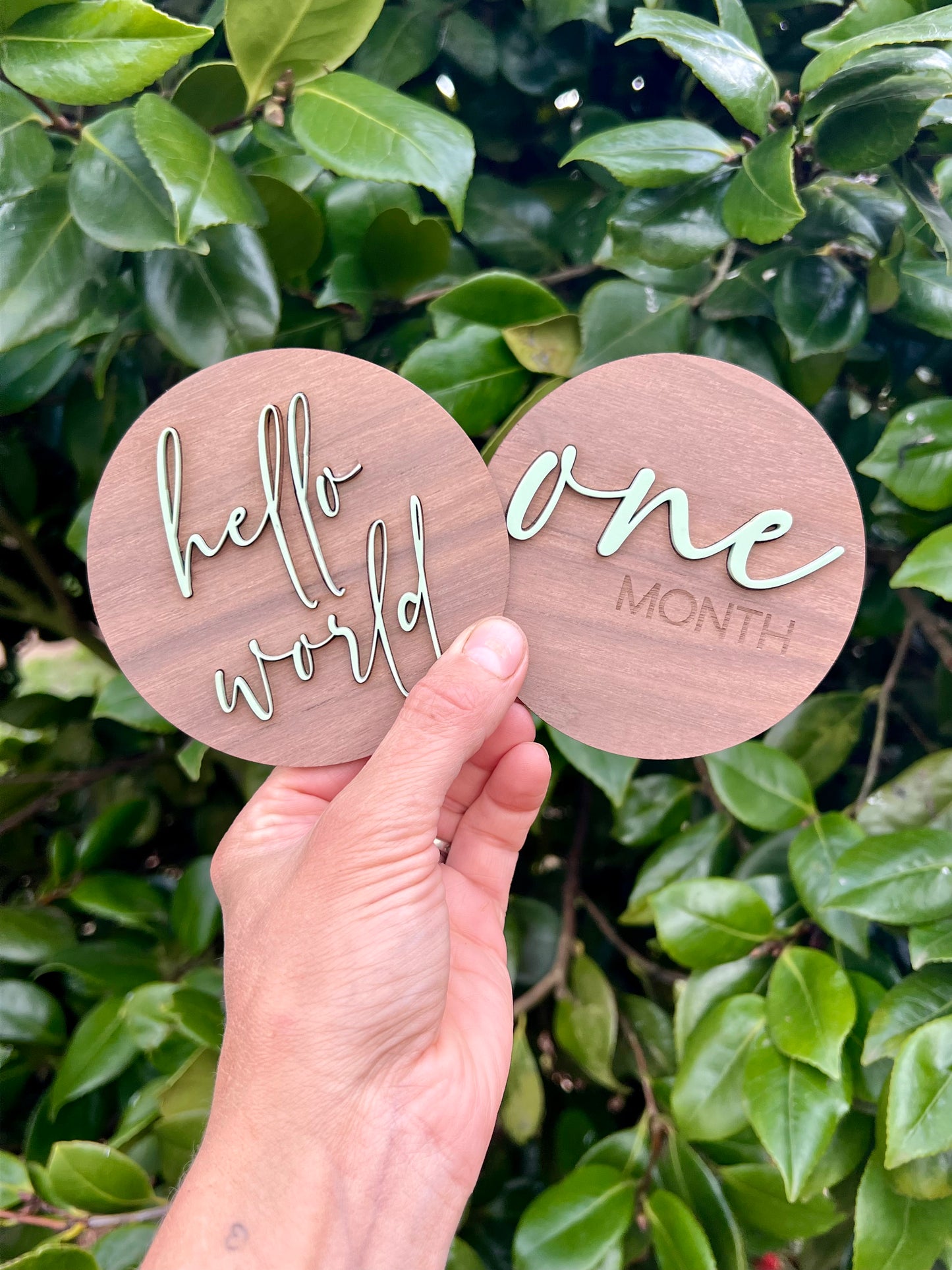 MILESTONE DISCS - PISTACHIO