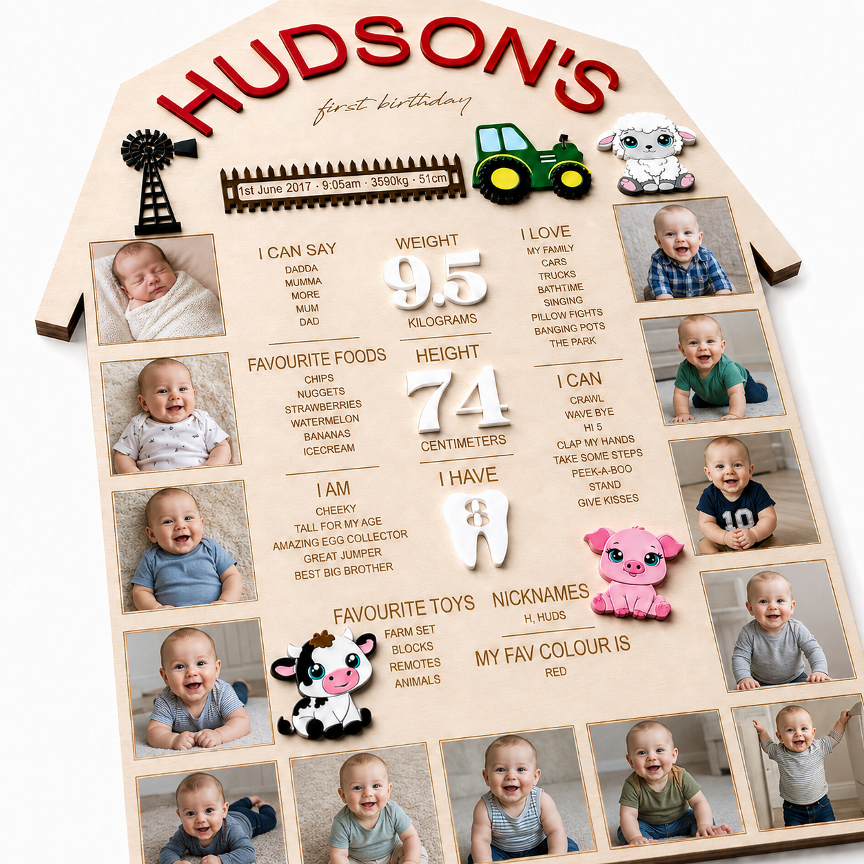 LITTLE FARMER  - BIRTHDAY MEMORY BOARD