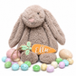 CARROT BASKET TAG - ACRYLIC NAME
